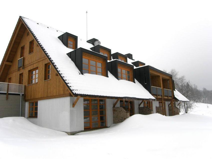 Apartment Ricky V Orlickych Horach Exterior photo