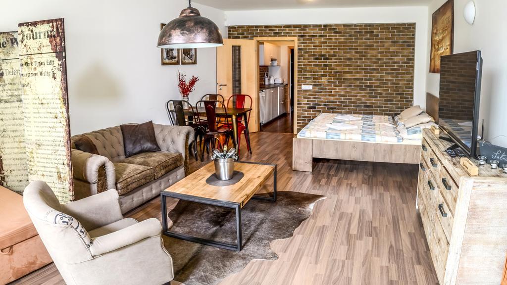 Apartment Ricky V Orlickych Horach Exterior photo