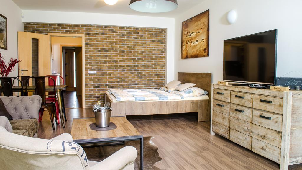 Apartment Ricky V Orlickych Horach Exterior photo