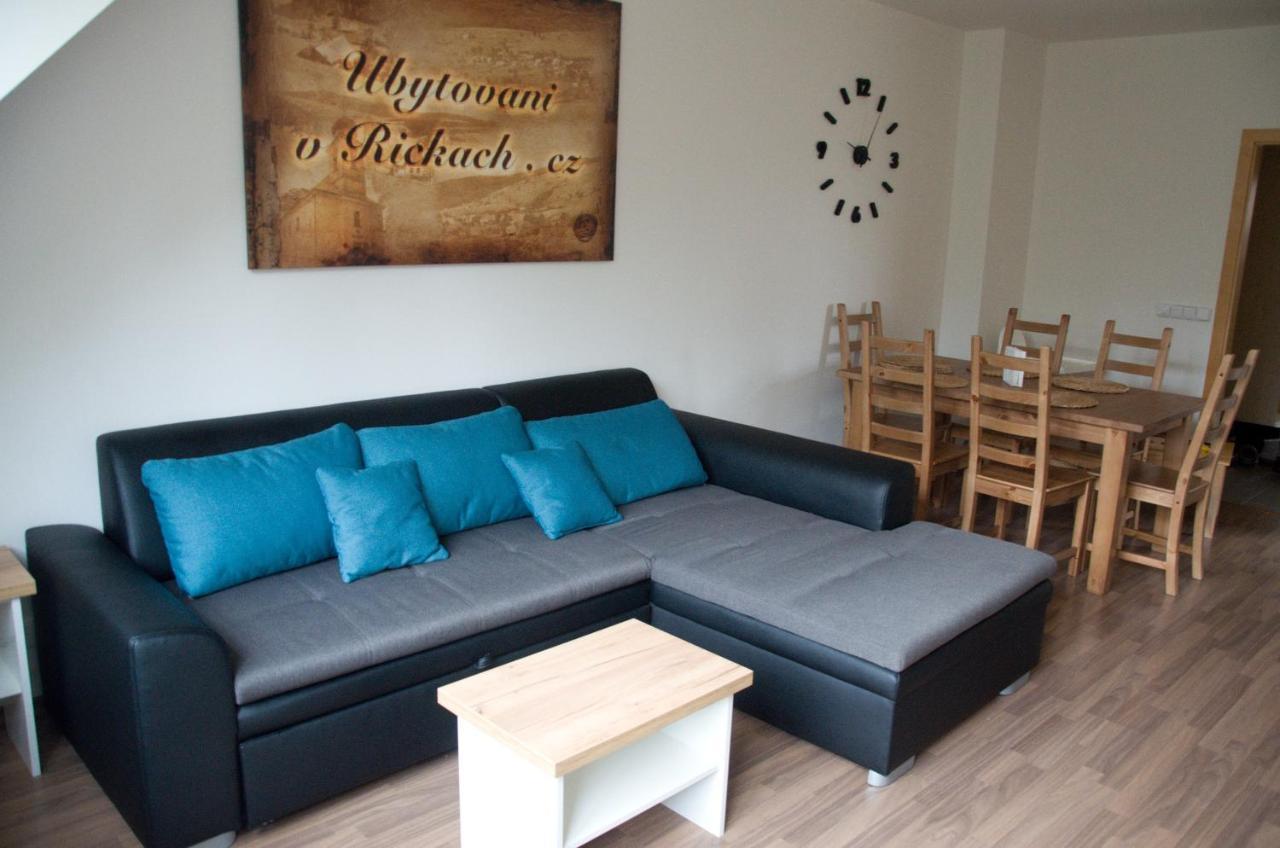 Apartment Ricky V Orlickych Horach Exterior photo