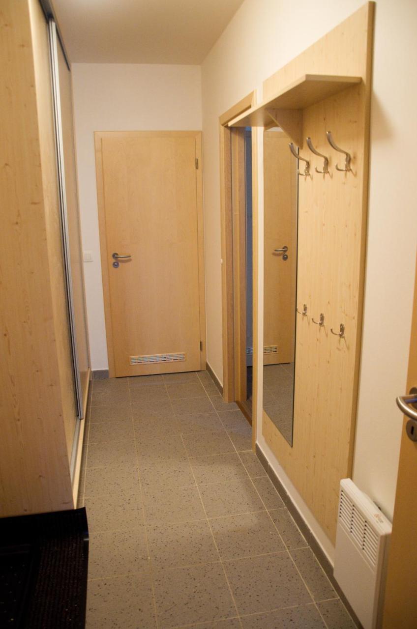 Apartment Ricky V Orlickych Horach Exterior photo