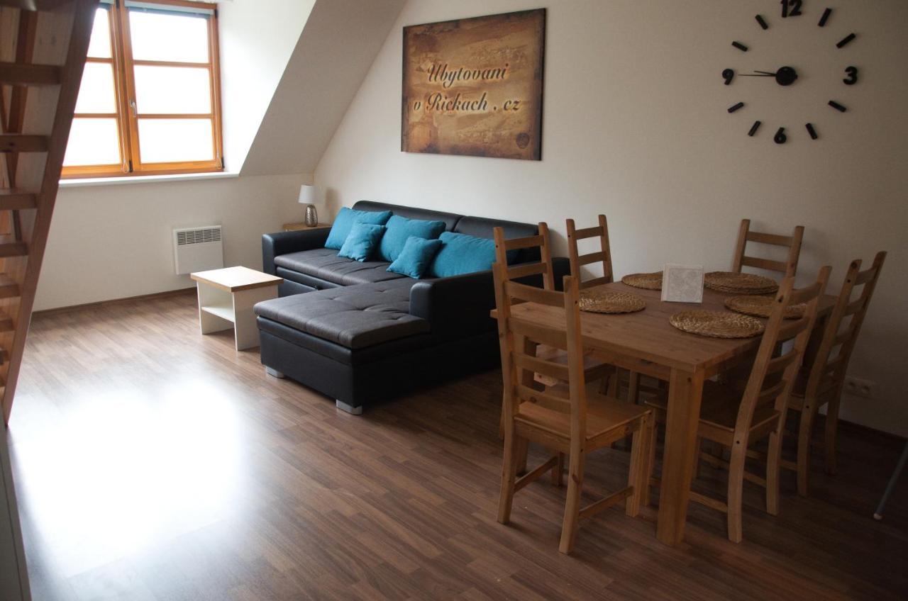 Apartment Ricky V Orlickych Horach Exterior photo