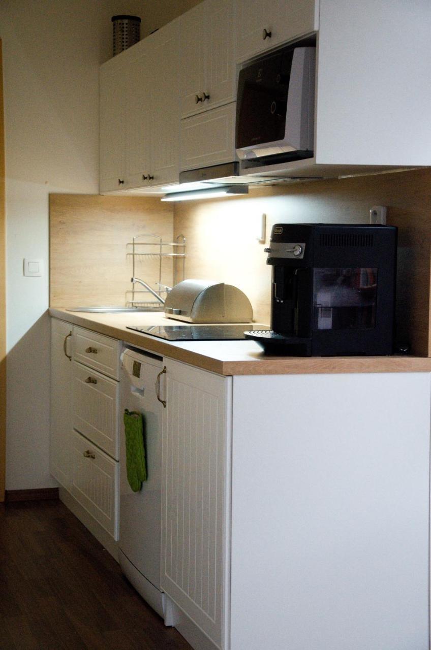 Apartment Ricky V Orlickych Horach Exterior photo